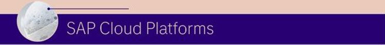 SAP Cloud Platforms.jpg