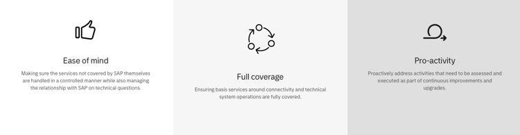 SAP_SAP Basis suppor.png