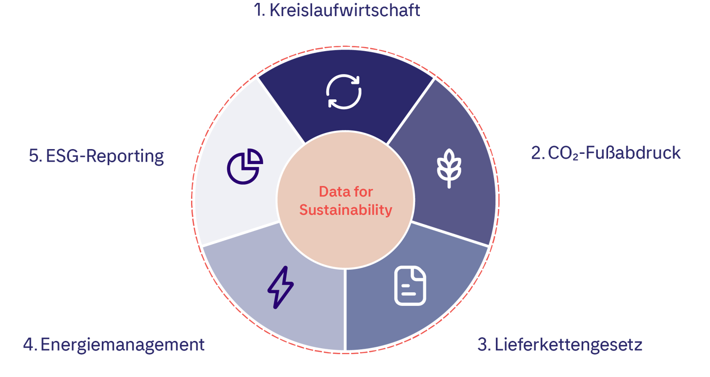 dataforsustainability grafik.png